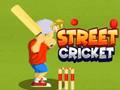 Jeu Cricket de rue  en ligne