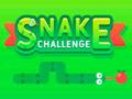 Jeu Défi serpent  en ligne