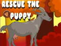 Jeu Sauver le chiot  en ligne