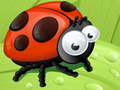 Jeu Glissière coccinelle  en ligne