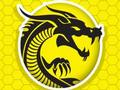 Jeu Fureur de Kung Fu  en ligne