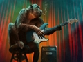 Jeu Puzzle de musique de singe  en ligne