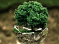 Jeu Puzzle de l'environnement  en ligne