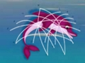 Jeu Sauvetage des dauphins  en ligne
