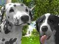 Jeu Simulateur de chien 3d  en ligne