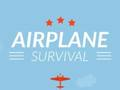 Jeu Survie en avion  en ligne