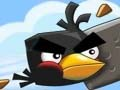 Jeu Oiseaux fous  en ligne