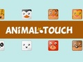 Jeu Toux animale  en ligne
