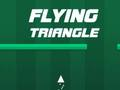 Jeu Triangle volant  en ligne