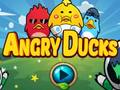 Jeu Canards en colère  en ligne