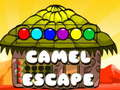 Jeu Escapade à dos de chameau  en ligne