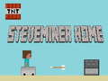 Jeu Accueil Steveminer  en ligne