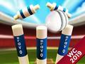Jeu Mini Cricket : Coupe du monde de championnat au sol 2019  en ligne