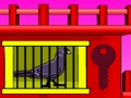 Jeu Fuite du pigeon noir  en ligne
