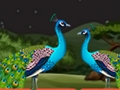 Jeu Couple perroquet évasion  en ligne