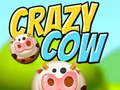 Jeu Vache folle  en ligne