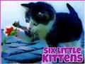 Jeu Six petits chatons  en ligne