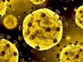 Jeu Diapositive sur le coronavirus  en ligne