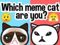 Jeu Quel chat mème êtes-vous ?  en ligne