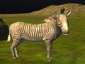 Jeu Chasse aux vrais animaux de la jungle  en ligne