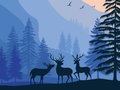 Jeu Paysage Paradis Caché  en ligne