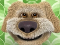 Jeu Collection de puzzles Ben qui parle  en ligne