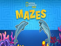 Jeu Nat Geo Kids Labyrinthes  en ligne