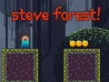 Jeu Steve forêt en ligne
