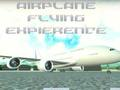 Jeu Expérience de vol en avion  en ligne