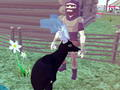 Jeu Simulateur de cerf 3D  en ligne
