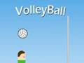 Jeu Volley-ball  en ligne