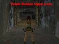 Jeu Tomb Raider Ouvrir Lara  en ligne
