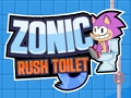 Jeu Toilette Sonic Rush  en ligne