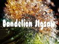 Jeu Puzzle pissenlit  en ligne