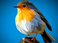 Jeu Puzzle Oiseaux Poly  en ligne
