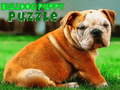 Jeu Puzzle Chiot Bouledogue  en ligne