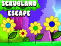 Jeu Escapade dans la garrigue  en ligne
