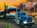 Jeu Simulateur de conduite 18 roues  en ligne