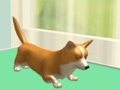 Jeu S'occuper d'un animal  en ligne