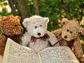 Jeu Puzzle en peluche à trois peluches  en ligne