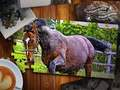 Jeu Jigsaw Puzzle Édition Chevaux  en ligne