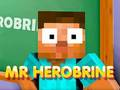Jeu Monsieur Herobrine  en ligne