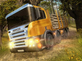 Jeu Simulateur de camion de montagne  en ligne