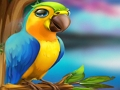 Jeu Petite évasion de perroquet  en ligne