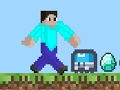 Jeu Professionnel Steve  en ligne