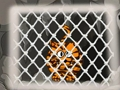 Jeu Évasion du tigre 1  en ligne