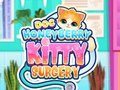 Jeu Doc HoneyBerry Kitty Chirurgie  en ligne