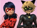 Jeu Puzzle Miraculous Ladybug & Chat Noir  en ligne