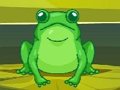 Jeu Grenouille Match Master  en ligne