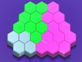 Jeu Blocs de puzzle hexagonaux  en ligne